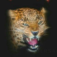 جود (@angerissues777) 's Twitter Profile