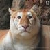 TwincattyCHUBBY (@chubbycat2025) Twitter profile photo TwincattyCHUBBY (@chubbycat2025) Twitter profile photo