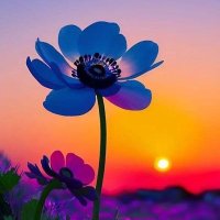 Ravinder Dhiman (@ravinder0777) 's Twitter Profile Photo Ravinder Dhiman (@ravinder0777) 's Twitter Profile Photo