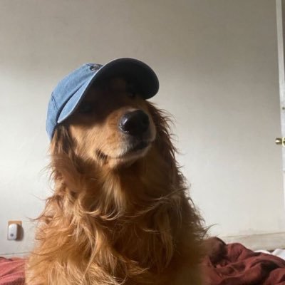 nahmhomdokmai's profile picture. แอคนี้ขอติดมหาลัยก่อน