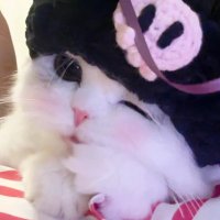 F奶乳妹 (@ff65656562) 's Twitter Profile
