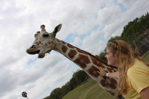 chantsy3's profile picture. 