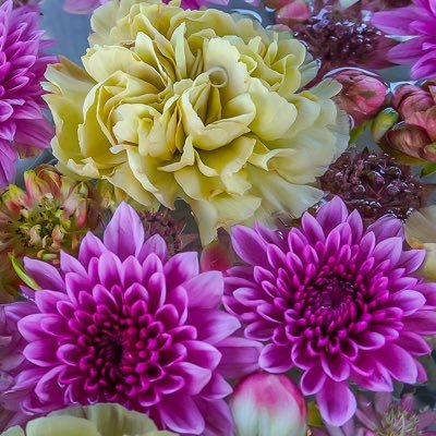 GOUKYOU_03's profile picture. 40代楽しく(≧∇≦) 自然、風景、花、カメラ、アウトドア、キャンプ好き⛺🌵🍃⛅️