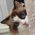 Doris_Maono (@doris9088969607) Twitter profile photo Doris_Maono (@doris9088969607) Twitter profile photo