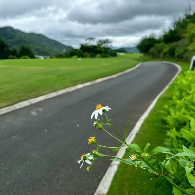 Sooporenv4Gi's profile picture. 