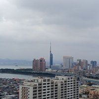 y…up37 (@cb65941e452842d) 's Twitter Profile