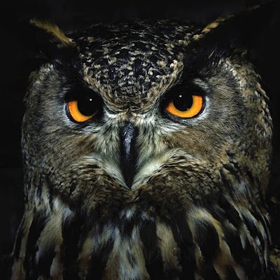 ChalinskiAdam's profile picture. Xen,
X1,
https://t.co/aX2uYb0MwY,
Kucoin,
Decentralization