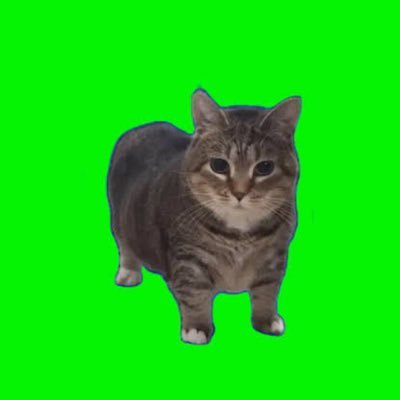 rascal1904japan's profile picture. 