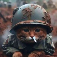 Daniel Garcia (@danblockchain) 's Twitter Profile