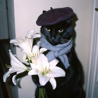 Euseless (@euseless1) 's Twitter Profile Photo Euseless (@euseless1) 's Twitter Profile Photo