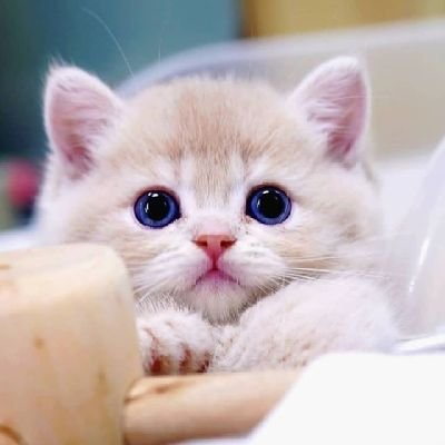 jFHxhdN3QwdznF's profile picture. 