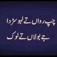 Afia Malik (@malikafia2021) 's Twitter Profile