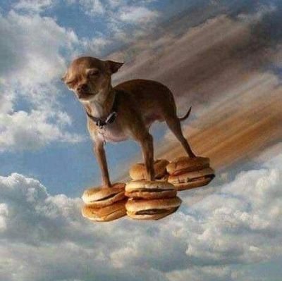 JohnSoon453762's profile picture. 