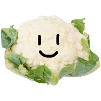 カリフラワー (@cauliflower_plz) 's Twitter Profile