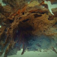 isla (@isfl11) 's Twitter Profile