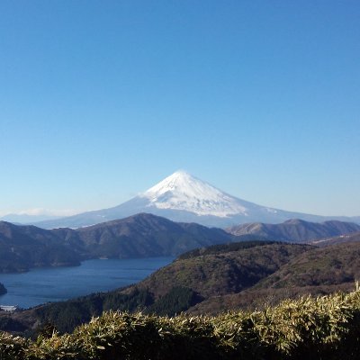 konnyaku6969's profile picture. 🙋