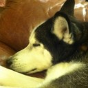 Natalie Ricks - @rickskibaby - Twitter