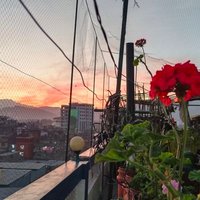 Nil Empty (@empty86549) 's Twitter Profile