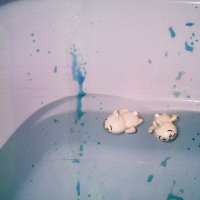 夢空 (@mukuu_irmk) 's Twitter Profile