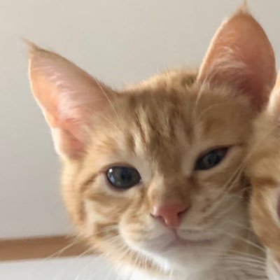 Tyche_Seven's profile picture. 