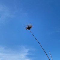 Pauline Diepenbroek (@pd_at_work) 's Twitter Profile