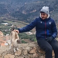 Mr blue 🐧🇵🇸 (@perezrevert04) 's Twitter Profile Photo