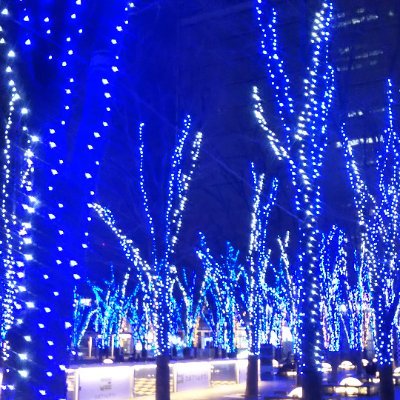 saitamajyuken's profile picture. 雑多アカ
登校渋り・癇癪・反抗の中２娘の母親、限界で病んでいます。
2027高受＠埼玉　食事　大食い　節約　汚部屋片付け　
SC/児相等関与あり。本人が小児精神科受診拒否の為、発達未診断。
娘の自立のために日々試行錯誤。
大学生の息子（中受→私立一貫卒→奨学金で大学）
夫婦共に病気して生活一転、経済的に厳しいです。