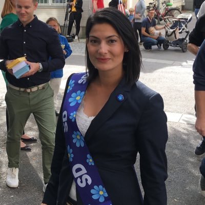 Gruppledare Järva stadsdelsnämnd (SD) (tidigare Spånga-Tensta + Rinkeby-Kista stadsdelsnämnder) Vice ordförande SD-Yttre Västerort, Riksdagskandidat 2018 (SD)