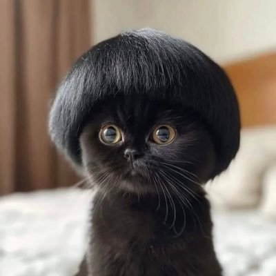 stacymcbride974's profile picture. 