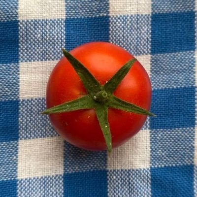 moIocafe's profile picture. T-P-O는 not my biz