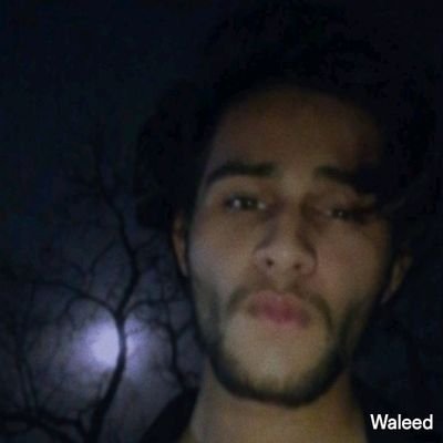 WaleedCapital's profile picture. @Binance