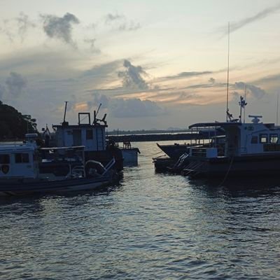 MMauladi0110's profile picture. 