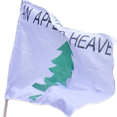 KimberleyS44689's profile picture. 