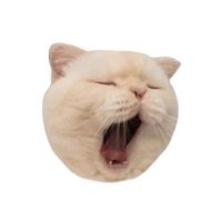 じい (@jjiojii) 's Twitter Profile