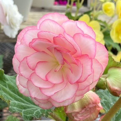 __yukikon__'s profile picture. 新NISAが始まって、遅ればせながら投資を始めました！
少しずつ勉強していきたいです。