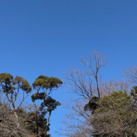 naka (@tommy_yo17) 's Twitter Profile