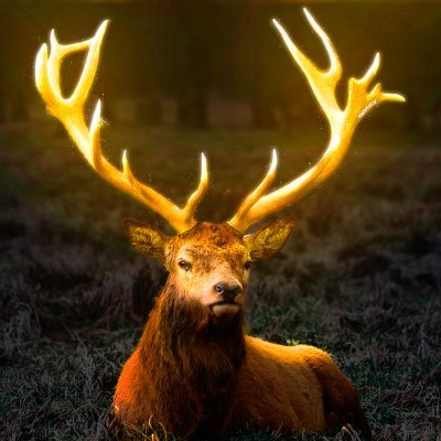 satoxxxooo's profile picture. Madrid🤍🇪🇦