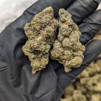 Top quality strains and other products tapin https://t.co/lkkSfaiM4H