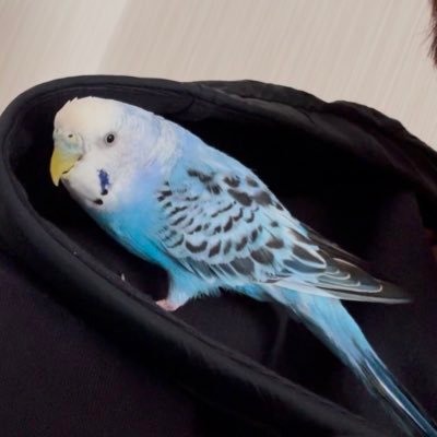 てるるんさんのプロフィール画像