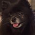 stephanie (@stephan88435675) Twitter profile photo stephanie (@stephan88435675) Twitter profile photo