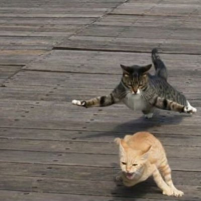 gsbjr1973's profile picture. 