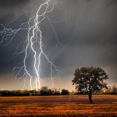 serv_663's profile picture. 