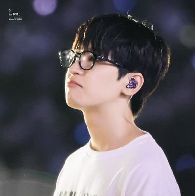 wonwoo 99.9% π Profile