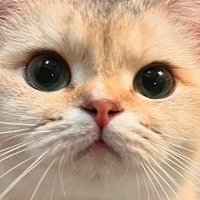 𝒘𝒆𝒓𝒏𝒘𝒆𝒓𝒏_𝑺𝑨𝑻𝒔 ツ☁️ (@wernwern_sats) 's Twitter Profile