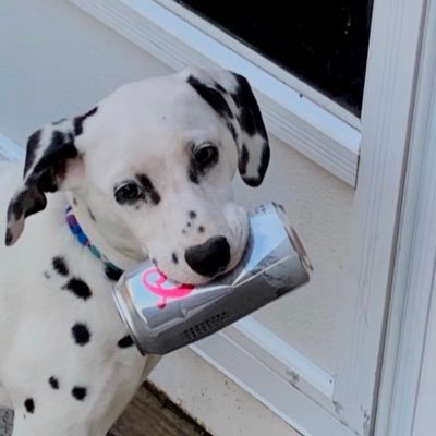 marcrich1526's profile picture. 