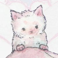 夏司逆吓死你 ( ,,⩌'︿'⩌,,) (@amoebaneko) 's Twitter Profile