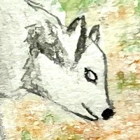 Dizitte🐺 (@digitetcyfra) 's Twitter Profile Photo Dizitte🐺 (@digitetcyfra) 's Twitter Profile Photo