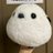gorosin_EXIT_18
