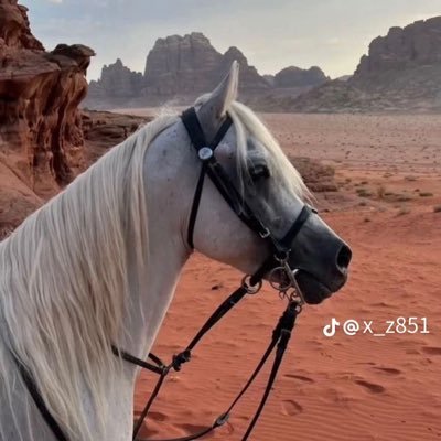 وتبقى الذكريات تجمعني بك