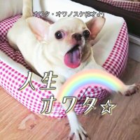 オワタ・オワノスケ (@toshio_nekoda) Twitter profile photo